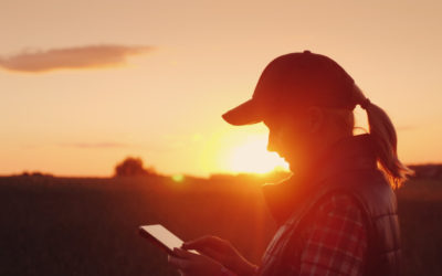 DelayPay secures $30M from Rixon Capital