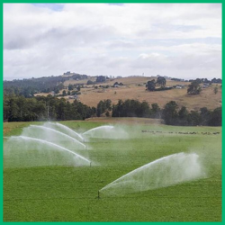 Using DelayPay for Regulated Irrigation Water
